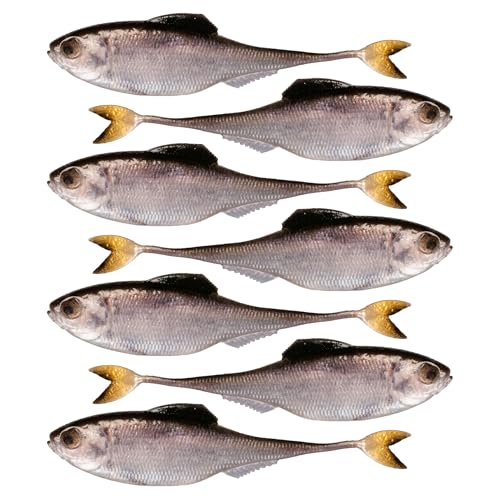 6th Sense Masterclass Fiction Shad Soft Plastic Swimbait – Realistic Sonar-Ready Baitfish Profile – 2.2