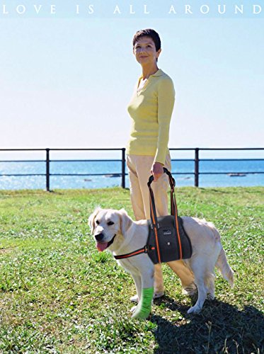 PETBABA Dog Lift Harness, Lifting Support Sling to Help Pet with Weak Back Leg, Aid Mobility and Rehabilitation, Suitable Senior Front Rear Crus Thigh Hip Injury Arthritis - L in Black