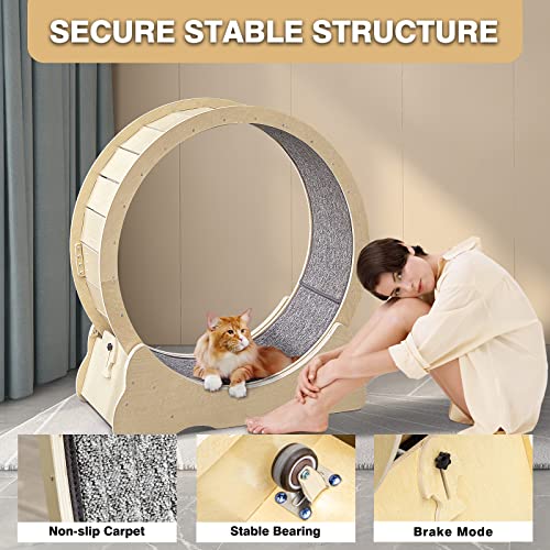 LiiZee Cat Exercise Wheel for Indoor Cats, Diameter 39.4" Cat Runing Wheel for Cats, Sturdy Cat Treadmill Wheel with Locking Mechanism,Stable&Quiet Running for Cat's Healthy - Image 6