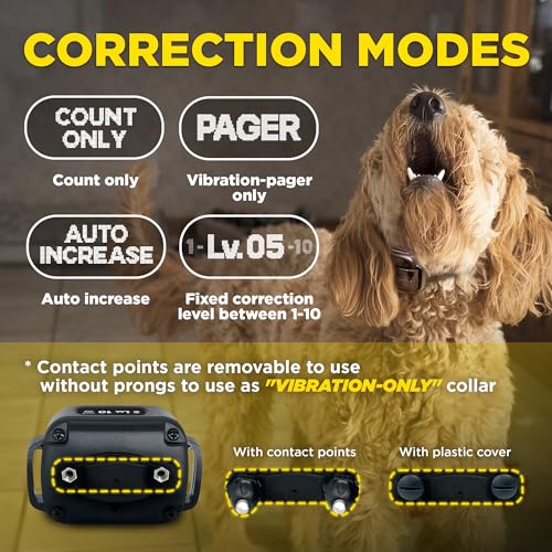 Dogtra Smart NOBARK Detects Whining and Barking, 33 ft Range App for Notifications, E-Collar, Behavior Report, Waterproof IPX9K, Compact Size for 10 lb Dogs, Triple Detection Accuracy - Image 6