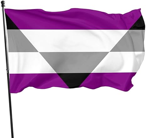 Jhin Autochorissexual Asexual Ace Spectrum Pride Flag Themed Welcome Party Outdoor Outside Decorations Ornament Picks Home House Garden Yard Decor 3 X 5 Ft Small Flag Amazon Co Uk Garden Outdoors