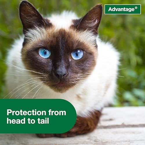 Advantage Cat Flea Treatment Spray | Kills Fleas & Ticks | Cat Flea Spray | 8 oz. - Image 7