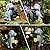 Solar Dog Statues for Garden Decorations, Solar Garden Gifts Statues for Patio, Balcony, Yard Ornament, Unique House Warming Garden Gifts Figurine Lights, Garden Gifts for Women, Mom