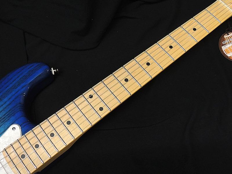 Amazon | FGN FUJIGEN NST110MAH SBB フジゲン Neo Classic SERIES