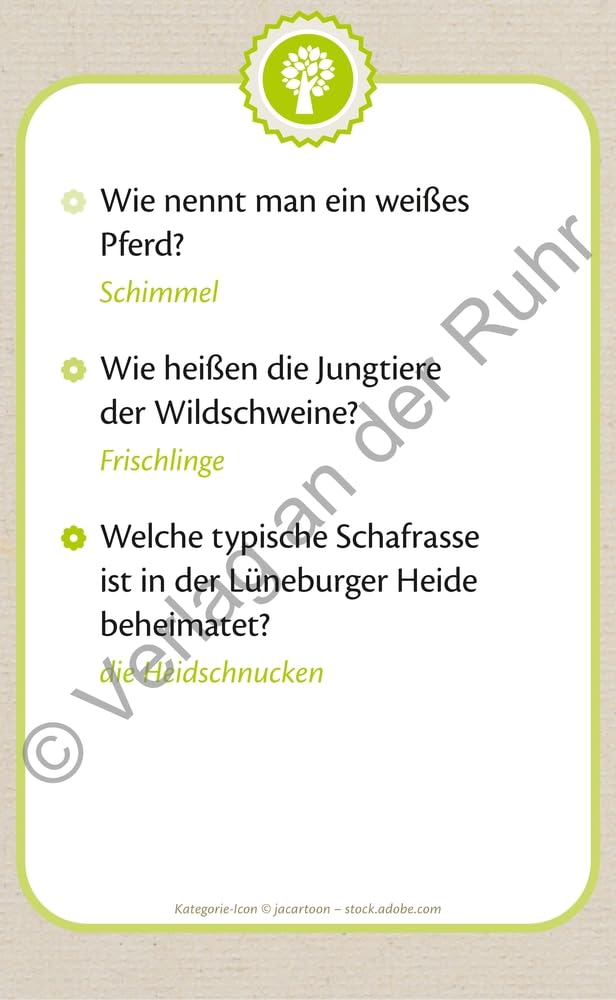 Die große Quizbox für Senioren: Ein Kartenspiel-Set zu lebensweltorientierten Themen in drei Schwierigkeitsstufen