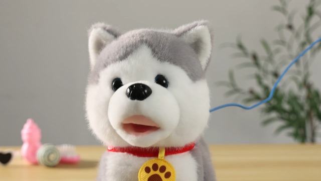 Watch Walking Barking Singing Husky Puppy Toy on Amazon Live