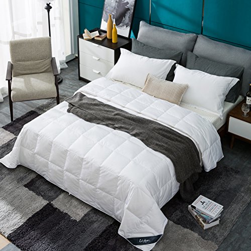 Image of Globon White Summer Down Comforter /Blanket Queen Size, Lightweight Duvet Insert for Hot Sleepers, Noiseless & Extra Soft Shell,14OZ,750 Fill Power, with Ties, Solid White