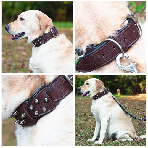 Image of Adil's Personalized Softy Leather Spiked Dog Collar- 1.5 Inch Wide Loop with Spikes Heavy Duty Soft Padded Neckbelt, Sturdy Buckle & D-Ring for Small, Medium & Large Dogs (Chestnut, S(12 inch-16 inch))