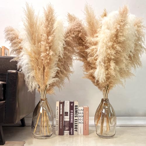 48 Stück Pampasgras Trockenblumen - Boho Deko Für Wohnzimmer & Schlafzimmer