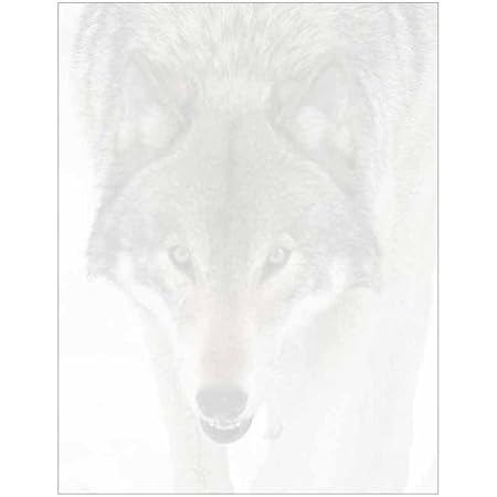 Amazon.com: Papel de carta de papel con cara de lobo, diseño de animales  salvajes, regalo, negocios, oficina, fiesta, suministros escolares :  Productos de Oficina