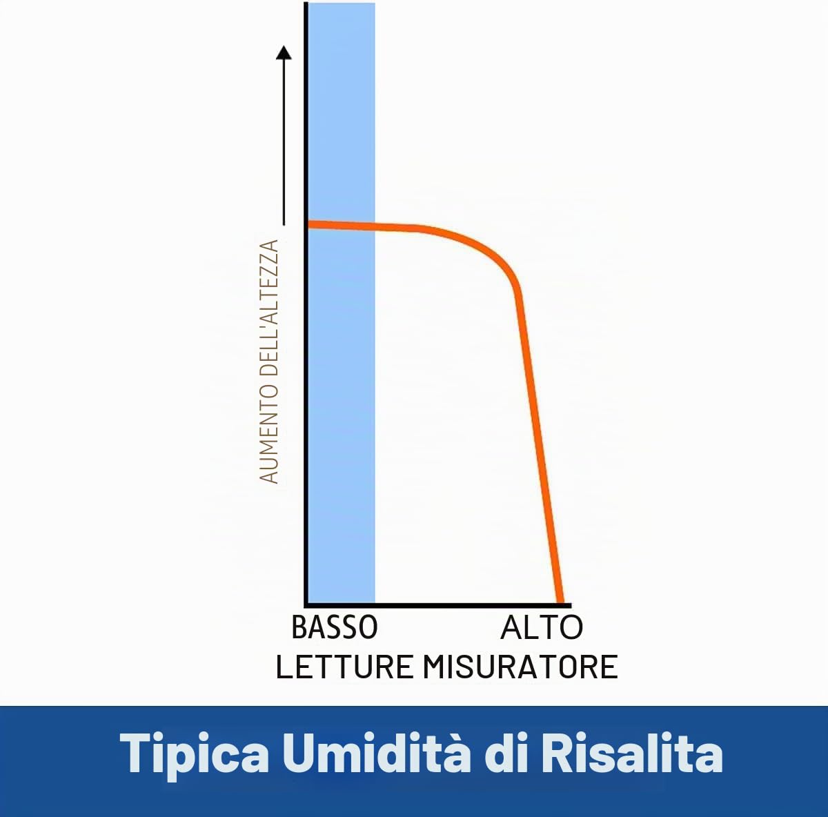 Dryzone Rilevatore di Umidità – Misuratore Digitale per Legno, Muri, Muratura e Materiali da Costruzione