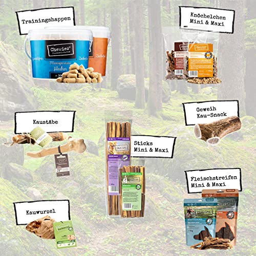 Chewies Kauwurzel für Hunde aus Baumheide Wurzel - 100 % natürliches Hunde-Spielzeug risikoarm & langlebig: Für Hunde bis 10 kg Körpergewicht, S (1er Pack)