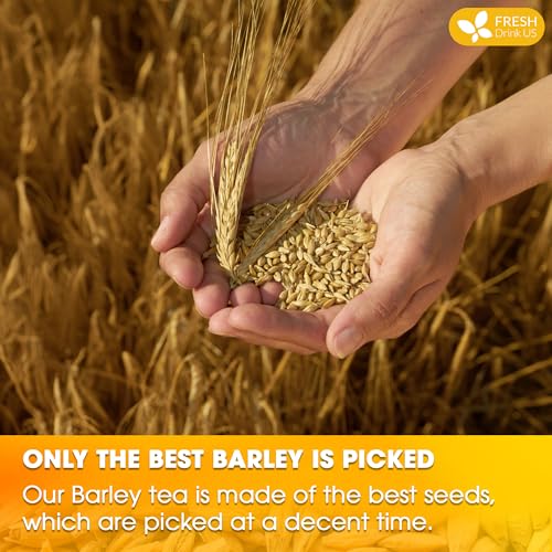 Image of FreshDrinkUS Premium 120 Barley Tea Bags, 100% Natural & Pure. Loose Barley Herbal Tea. Made with Natural Material Tea Bags. No Sugar, No Caffeine, No Gluten, Vegan