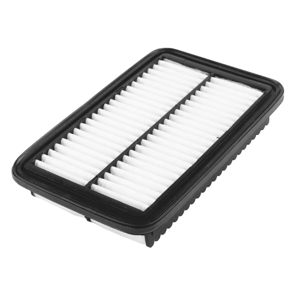 Amazon.com: Genuine OEM 28113-1Y100 Air Cleaner Filter