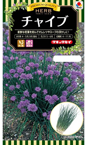 タキイ種苗 ハーブ チャイブのサムネイル