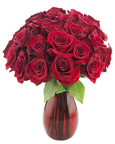 KaBloom PRIME NEXT DAY DELIVERY - Mother’s Day Collection - Queen of Hearts Red Roses (Two Dozen) With Vase.Gift for Birthday, Anniversary, Get Well, Easter, Valentine, Mother’s Day Fresh Flowers