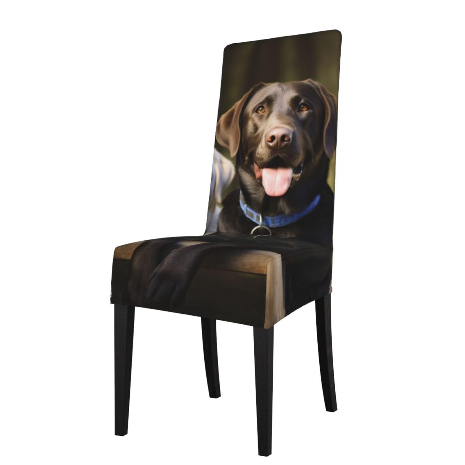 FodPand Stretch Chair Covers for Dining Room, Labrador Chair Seat Covers Washable Detachable Chair Slipcover Chair Protectors Covers for Kitchen,Wedding,Party