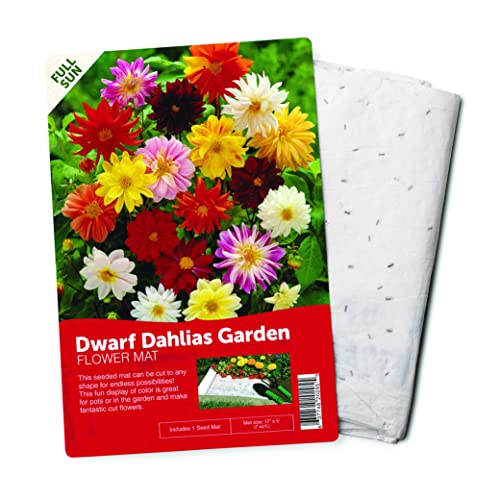Bloomingbulb Seed Mat - Easy To Plant And Grow Garden Seeds - Creates Fragrant, Vibrant Flower Garden – Customizable Flower Beds- Dwarf Dahlia Flower Mat #TOP3