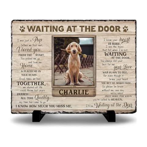 Kilyhome Personalized Dog Memorial White Stone Plaque - Waiting at The Door, Sympathy Gift for Pet Lovers, Changing Colorful Background to Paint Loving Memory, Ideal Cat Mom Gifts Cover