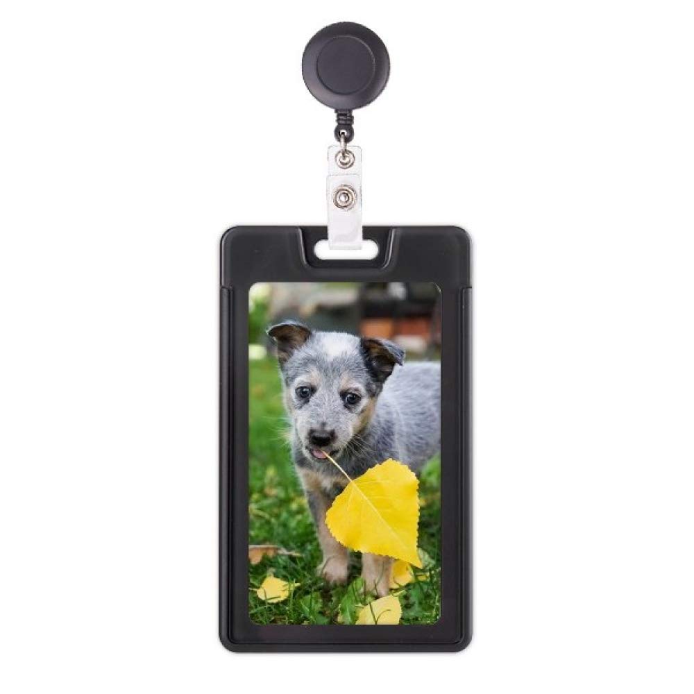 Étui rétractable pour badge Handsome avec motif chiot mignon