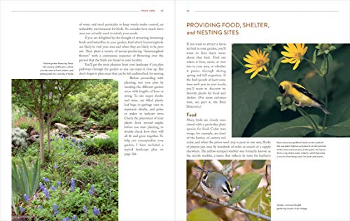 Gardening For The Birds: How To Create A Bird-Friendly Backyard #TOP4