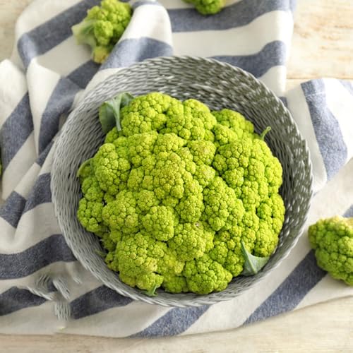 Semi di cavolfiore, Le perenni sono acquistare di cavolfiore semi biologici 200pcs