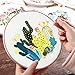 ENTHUR Embroidery Starter Kit with Pattern and Instructions, 3 Sets Cross Stitch Kit Include Embroidery Clothes with Plants Flowers Pattern, 1 Embroidery Hoops, Color Threads and Tools (Catus&Daisy)