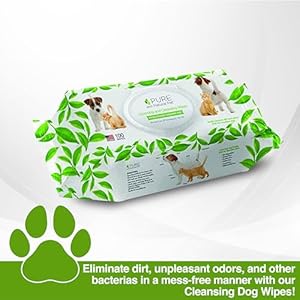 Pure and natural pet grooming and cleansing wipes for all pets unscented 100 ct   cucciolini doodles
