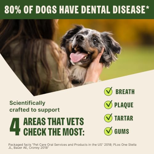 Image of Whimzees Wellness Brushzees Natural Dog Dental Treat, VOHC Accepted Chews, Freshens Breath, Medium Size, 12.7 oz Bag, 12 Count