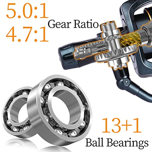 Sougayilang Carp Fishing Reel - 13+1BB Spinning Reel, Smooth, Powerful, With Spare Spool - KT30, Golden, 3000 - Image 3