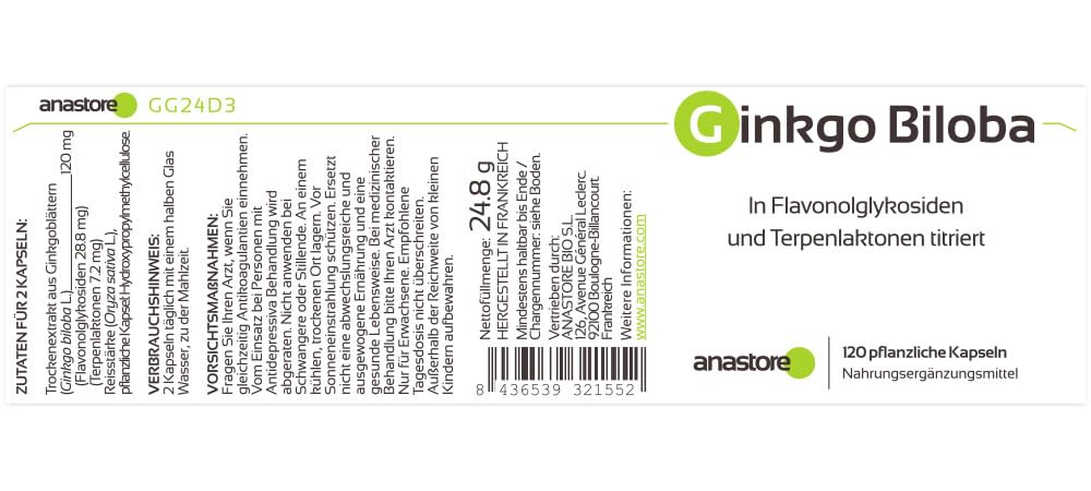 GINKGO BILOBA * PACK 3+1 GRATIS * 60 mg / 480 capsule