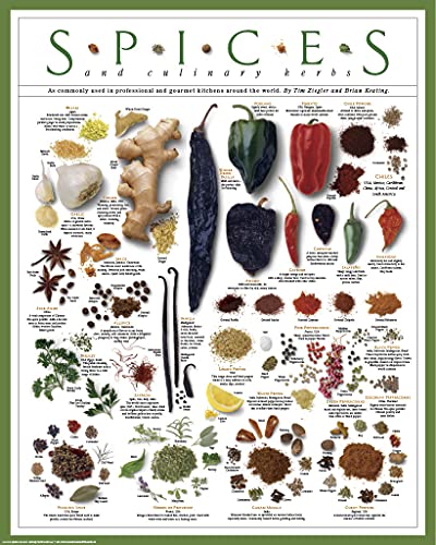 Spices and Culinary Herbs Chiles Curry Garam Masala Parsley Sage Rosemary Thyme Ginger Pickling Garlic Cumin Paprika Cayenne Basil Cilantro Herbs de Provence Print Poster (16X20 2 Print Set)