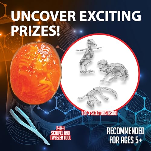 Image of Discover-It Owl Pellet, Science Lab Kit, STEM Toys for Kids, Ages 5+ | Synthetic Bones: Open a realistic owl pellet to discover hidden bones while learning about owls, food chains, and STEM