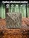HomeEterna Hunting Blind for 2-3 People, Pop Up Ground Blind with Carrying Bag, Silent & Covert Pop Up Ground Blind for 2-3 Person Hunting, Lightweight & Quick Assembly