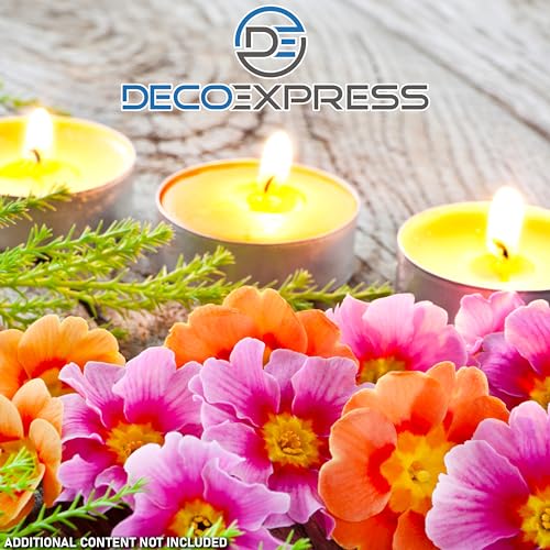 Deco Express Citronella Teelichter, 100er- oder 50er-Pack Duftkerzen Teelichter 4 oder 8 Stunden Brenndauer (8 Stunden x 50)