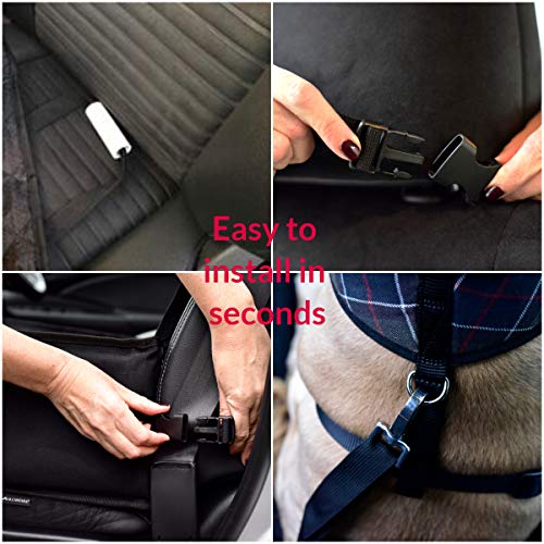 Heritage Accessories - Dog Car Seat for Small to Medium Pets, Waterproof Protective Booster With 2 Safety Harness Seat Belts for Puppies - Image 6