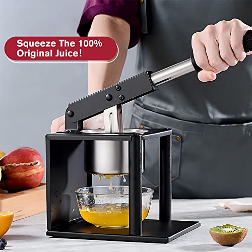 Lanueva Potato Ricer, Heavy Duty Potato Masher With 2 Interchangeable Discs, Stainless Steel Food Press For Mashed Potatoes Veggies Puree Sauce Fruit Juice Baby Food #TOP2