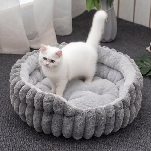 Panier pour chat d'intérieur idéal pour le salon et la maison - 4