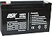DSK 10321 - Batería de Plomo AGM Recargable y Sellada de 6V y 12Ah. Batería Ideal para Coches y Motos Eléctricos para Niños, Sistemas SAI/UPS, Sistemas de Seguridad y Alarmas