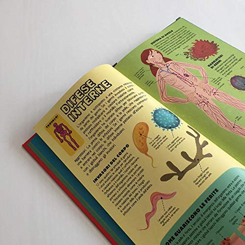 Costruisci Il Tuo Scheletro E Scopri Come Funziona Il Corpo Umano. Con Modellino Da Montare - 6