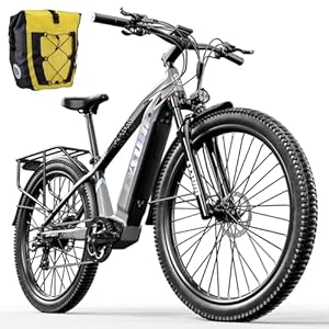 elektrische fiets voor volwassenen, elektrische fietsen mountainbike, offroad electric bike, VTT ebike, MTB elektrische fiets voor heren, dames, Verwijderbare lithiumbatterij 48V 672 Wh