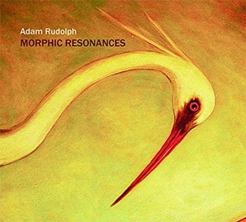 Adam Rudolph - Morphic Resonances - Amazon.com Music