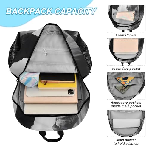 Cat and Lion Backpack Lunch Bag Set for Travel Hiking Picnic, Backpacks with Insulated Lunch Box4