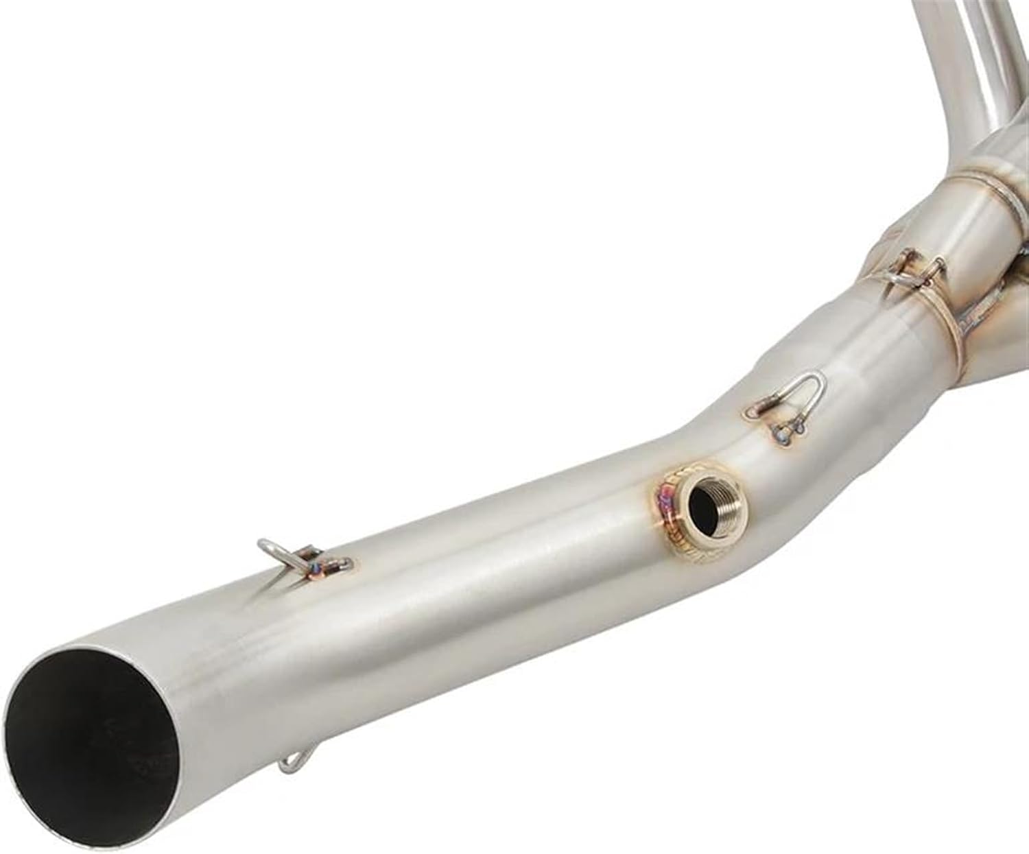 蜂の油絵【蜂の巣】1点物の元の/作者サイン入り/肉筆/F10号 Atsushi