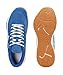 PUMA Unisex Varion Ii Zapatos de cancha de interior Imagen de PUMA Unisex Varion Ii Zapatos de cancha de interior