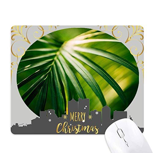 TVC̗t̐A̎R̎ʐ^ NX}XCũS}EXpbh