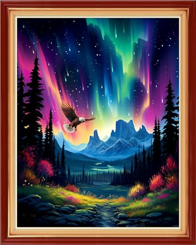 Image of Artvxeay Stamped Cross Stitch Kits - Embroidery Kits for Beginners Cross Stitch Kits for Adults 11 CT Printed Patterns Needlepoint Kits- Aurora Borealis Night Scene 16x20 inch