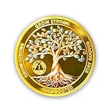 1 Year Sobriety Coin-AA Chips and Medallions Sobriety Gifts for Anniversary -Tree of Life Chips Medallion with Token Capsule- Clean Narcotics Aloholics Anonymous Gifts for Men Women