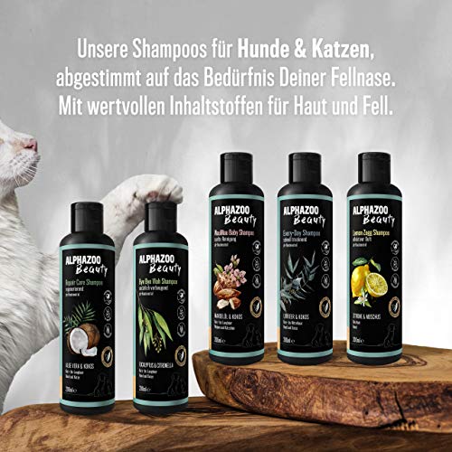 Katzenshampoo Alphazoo Every-Day für Katzen und Hunde