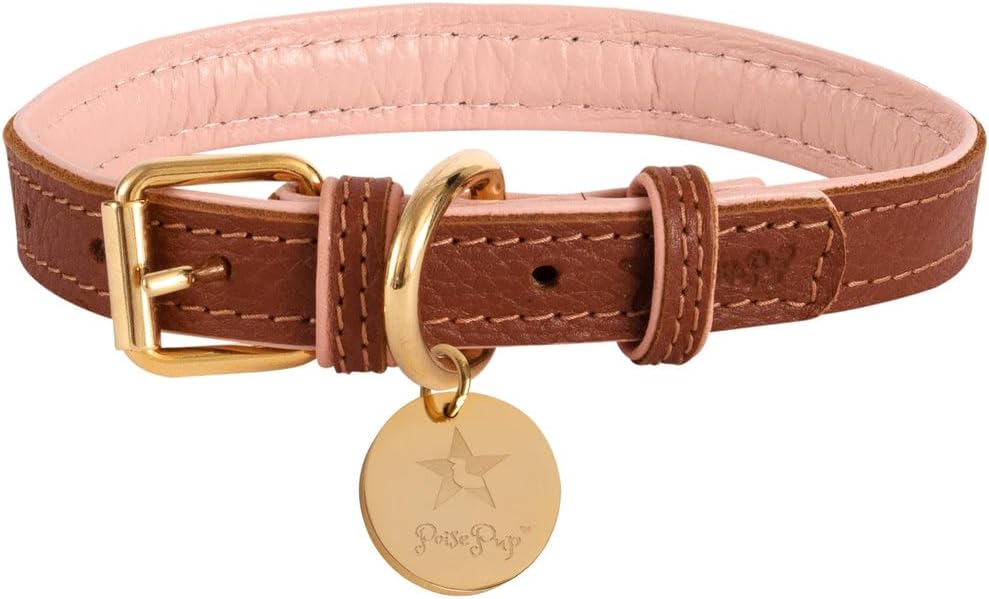 POISEPUP Genuine Leather Collar with Buckle for Dogs - Handmade, Adjustable & Soft - Orange | Blue - XSmall (7.1-9.5 in)